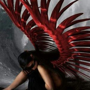 Meet your Posher, Barbara shaffer